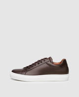 No. 120 MS - Dark Brown
