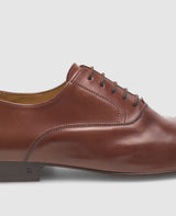 Maxwell CO - Medium brown