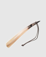 Horn shoe horn